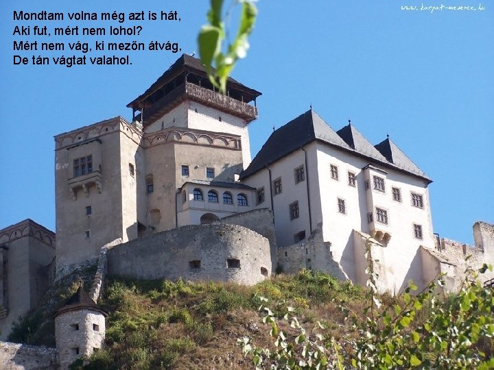 Mondtam volna még azt is hát, Aki fut, mért nem lohol? Mért nem vág,