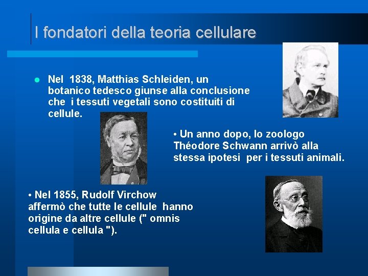 I fondatori della teoria cellulare Nel 1838, Matthias Schleiden, un botanico tedesco giunse alla