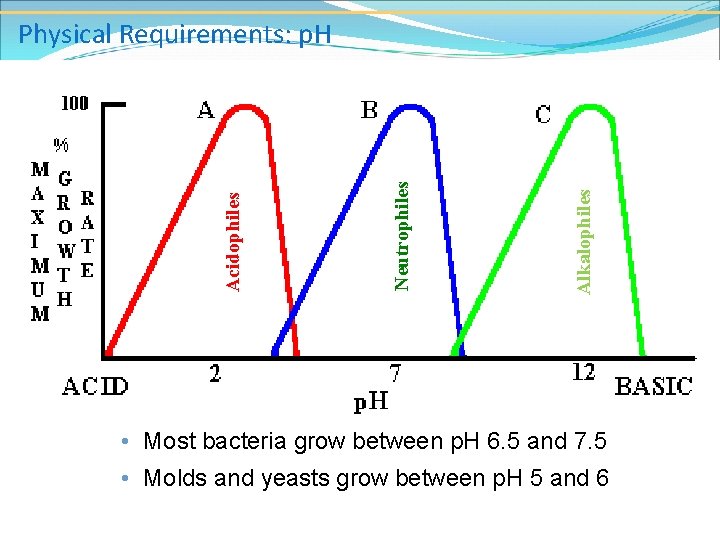 Alkalophiles Neutrophiles Acidophiles Physical Requirements: p. H • Most bacteria grow between p. H