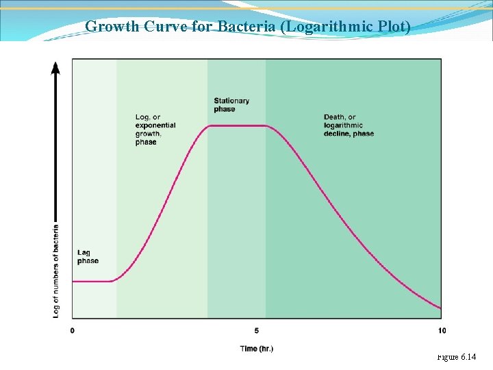 Growth Curve for Bacteria (Logarithmic Plot) Figure 6. 14 