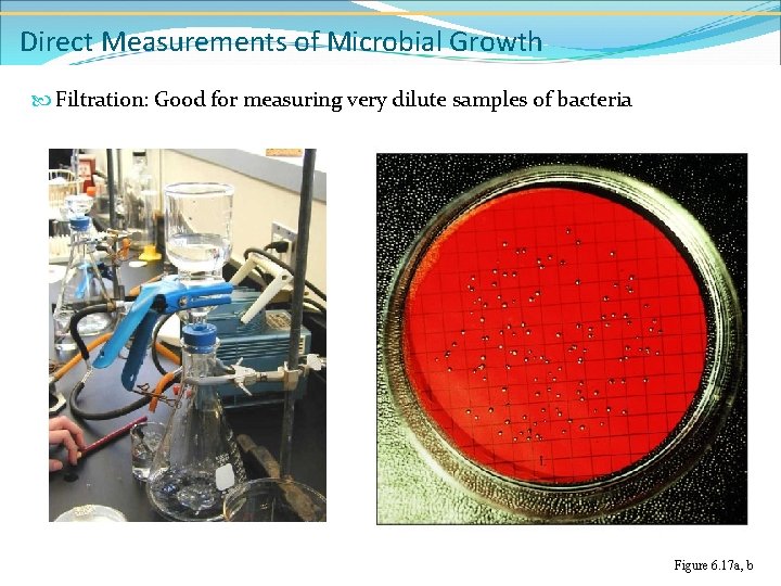 Direct Measurements of Microbial Growth Filtration: Good for measuring very dilute samples of bacteria