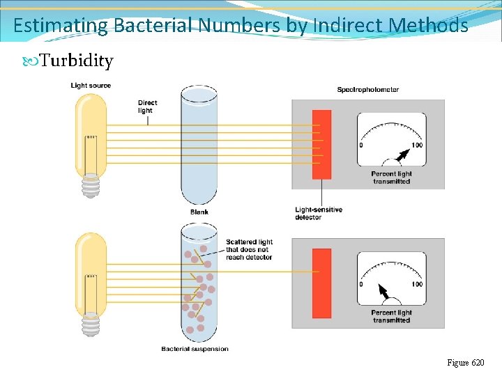 Estimating Bacterial Numbers by Indirect Methods Turbidity Figure 620 