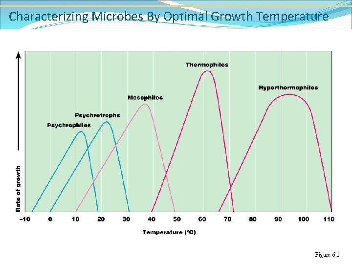 Characterizing Microbes By Optimal Growth Temperature Figure 6. 1 