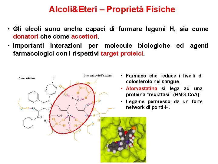 Alcoli&Eteri – Proprietà Fisiche • Gli alcoli sono anche capaci di formare legami H,