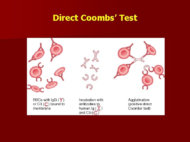 Direct Coombs’ Test 