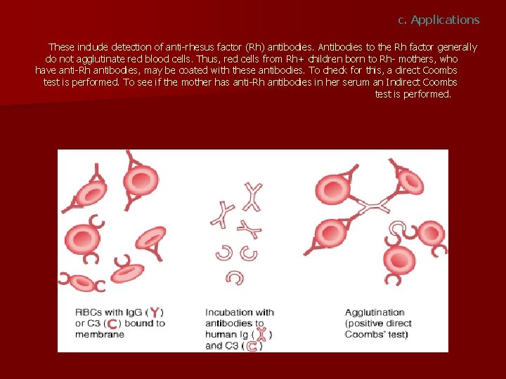 c. Applications These include detection of anti-rhesus factor (Rh) antibodies. Antibodies to the Rh