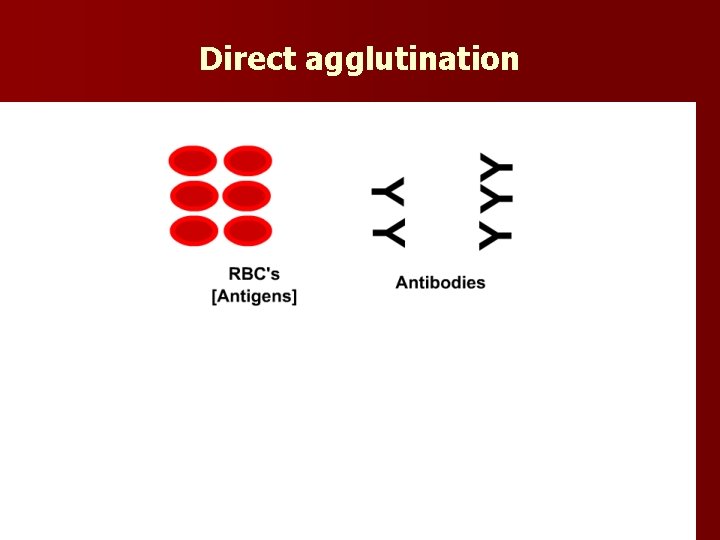 Direct agglutination 