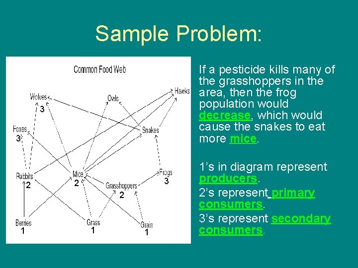 Sample Problem: • If a pesticide kills many of the grasshoppers in the area,