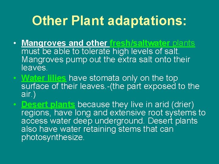 Other Plant adaptations: • Mangroves and other fresh/saltwater plants must be able to tolerate