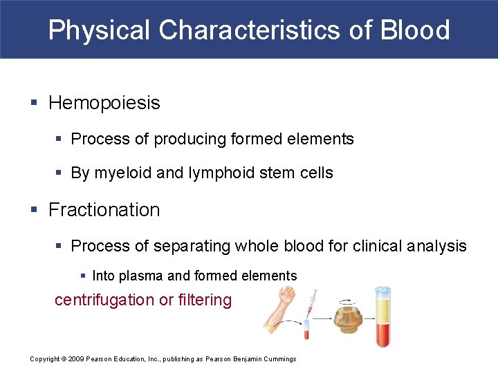Physical Characteristics of Blood § Hemopoiesis § Process of producing formed elements § By