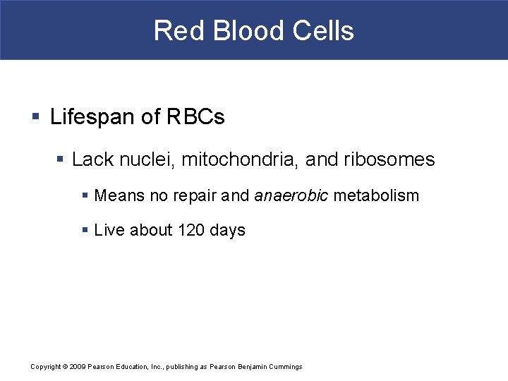 Red Blood Cells § Lifespan of RBCs § Lack nuclei, mitochondria, and ribosomes §