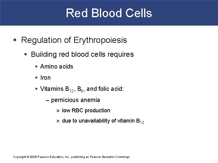 Red Blood Cells § Regulation of Erythropoiesis § Building red blood cells requires §