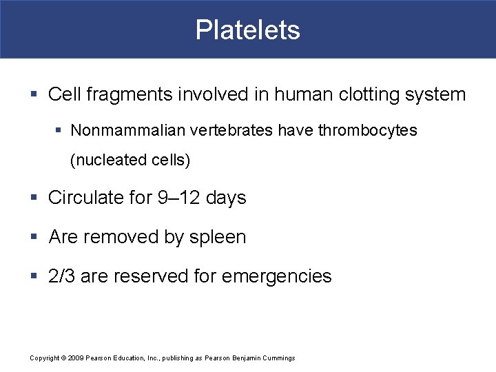 Platelets § Cell fragments involved in human clotting system § Nonmammalian vertebrates have thrombocytes