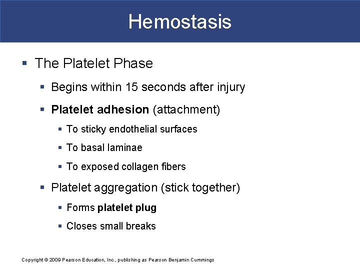 Hemostasis § The Platelet Phase § Begins within 15 seconds after injury § Platelet