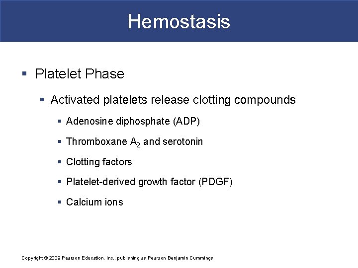 Hemostasis § Platelet Phase § Activated platelets release clotting compounds § Adenosine diphosphate (ADP)