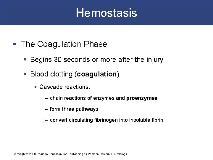 Hemostasis § The Coagulation Phase § Begins 30 seconds or more after the injury