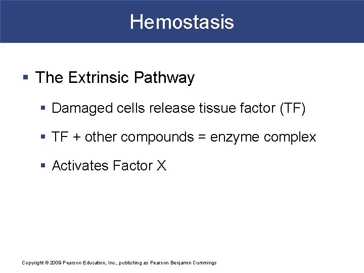 Hemostasis § The Extrinsic Pathway § Damaged cells release tissue factor (TF) § TF