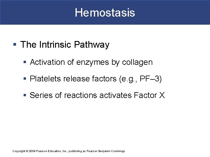 Hemostasis § The Intrinsic Pathway § Activation of enzymes by collagen § Platelets release