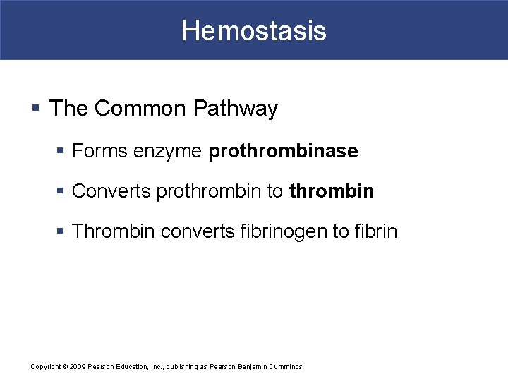 Hemostasis § The Common Pathway § Forms enzyme prothrombinase § Converts prothrombin to thrombin