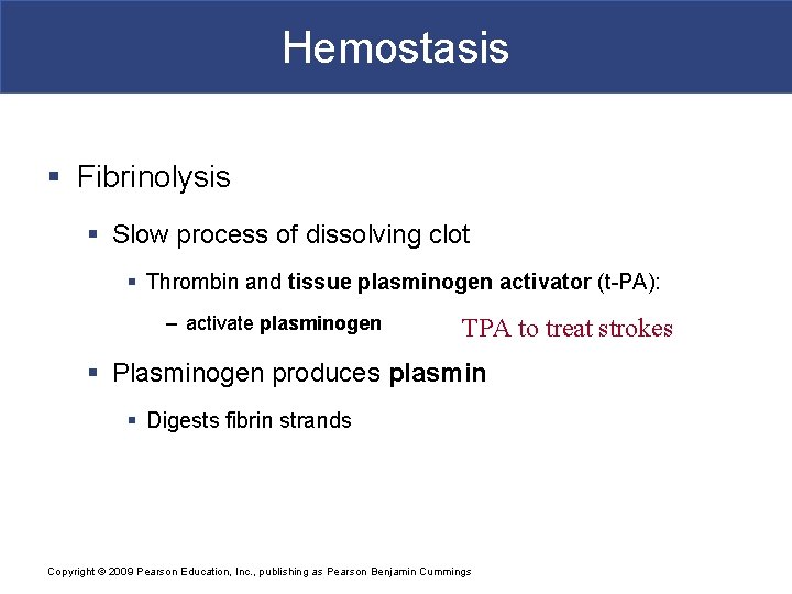 Hemostasis § Fibrinolysis § Slow process of dissolving clot § Thrombin and tissue plasminogen