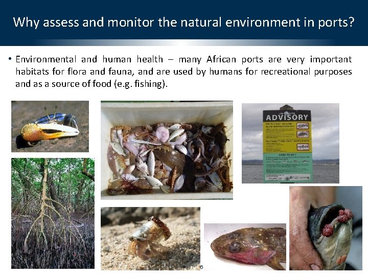 Why assess and monitor the natural environment in ports? • Environmental and human health