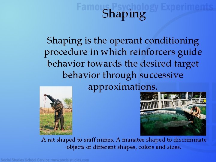 Shaping is the operant conditioning procedure in which reinforcers guide behavior towards the desired