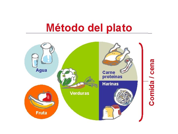 Agua Carne proteínas Harinas Verduras Fruta Comida / cena Método del plato 