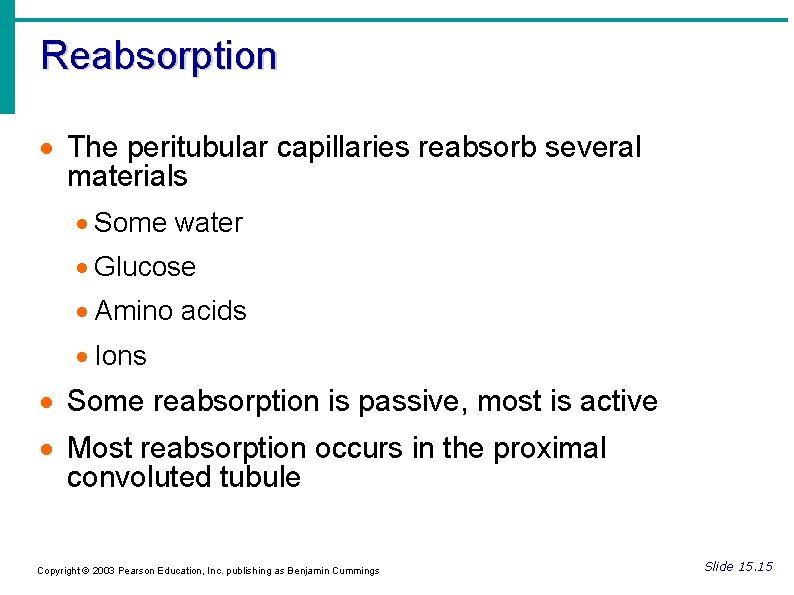 Reabsorption The peritubular capillaries reabsorb several materials Some water Glucose Amino acids Ions Some