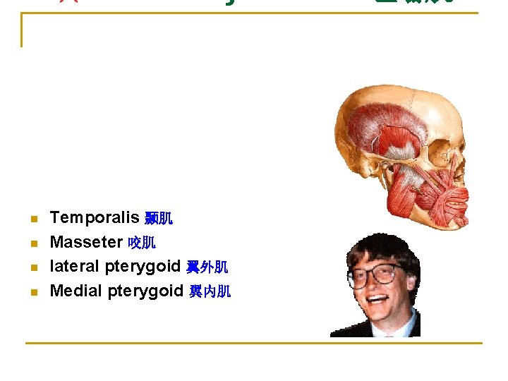 n n Temporalis 颞肌 Masseter 咬肌 lateral pterygoid 翼外肌 Medial pterygoid 翼内肌 