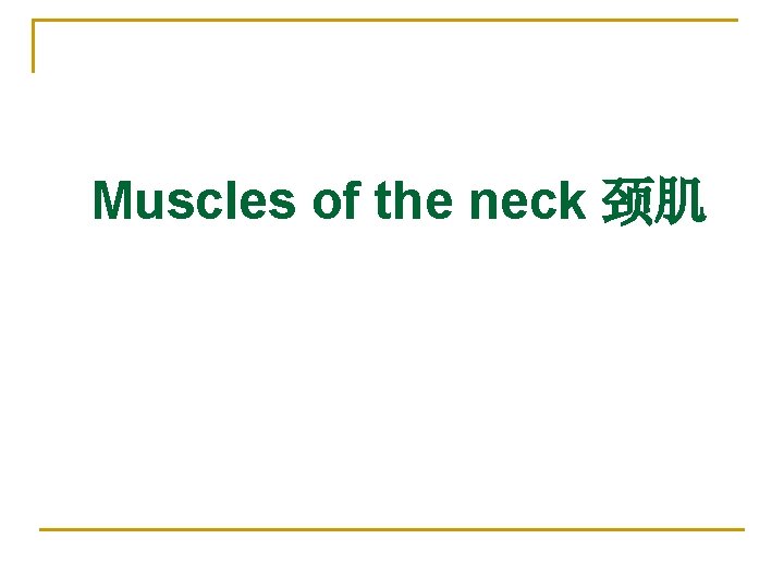 Muscles of the neck 颈肌 