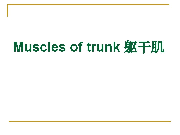 Muscles of trunk 躯干肌 