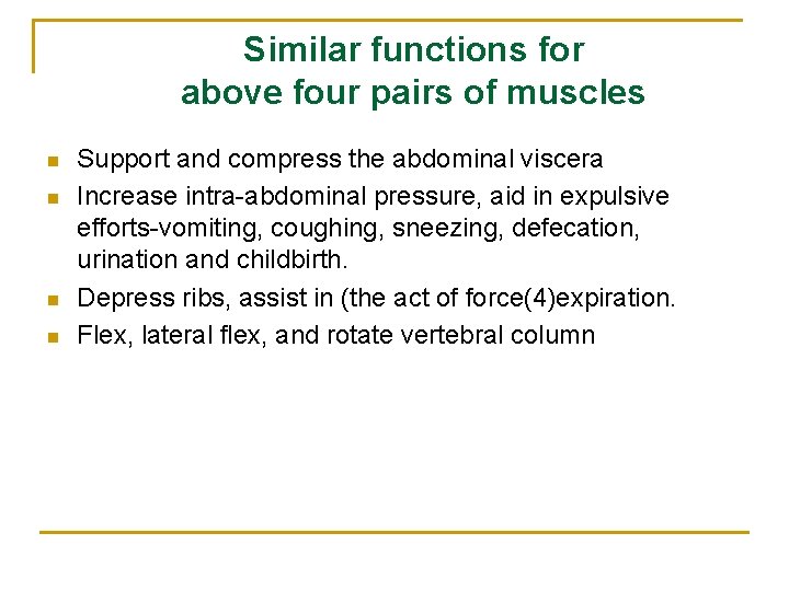 Similar functions for above four pairs of muscles n n Support and compress the