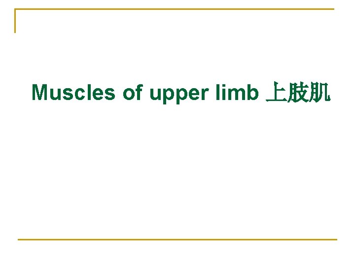 Muscles of upper limb 上肢肌 