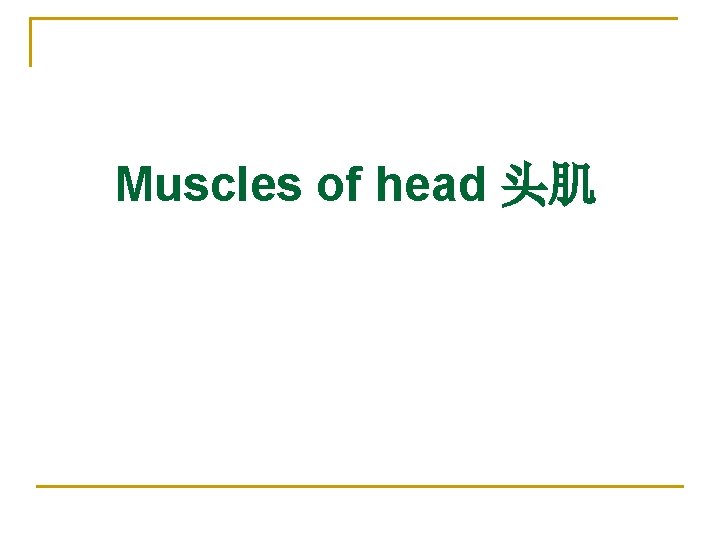 Muscles of head 头肌 