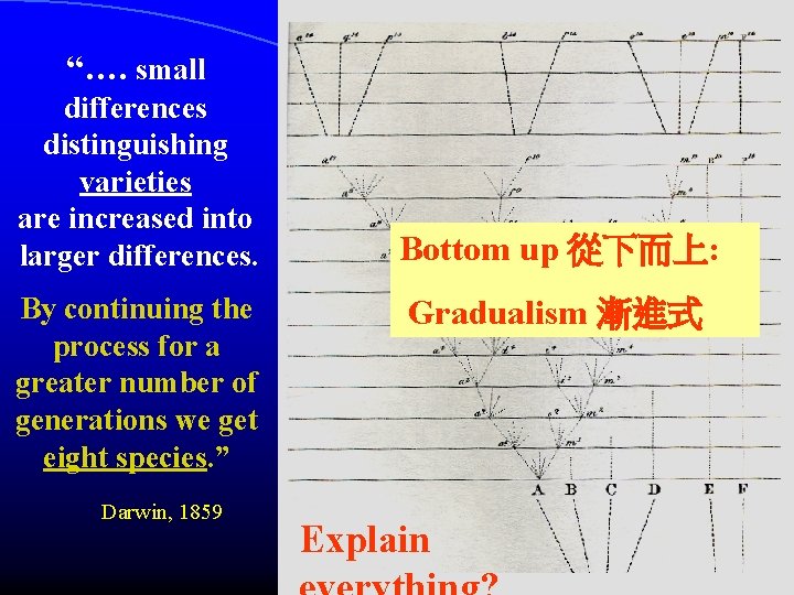 “…. small differences distinguishing varieties are increased into larger differences. By continuing the process