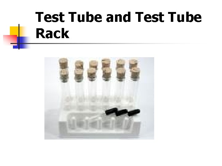 Test Tube and Test Tube Rack 