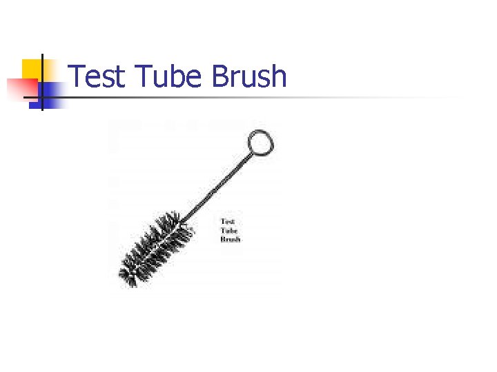 Test Tube Brush 