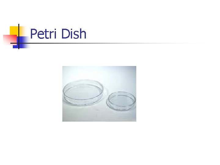 Petri Dish 