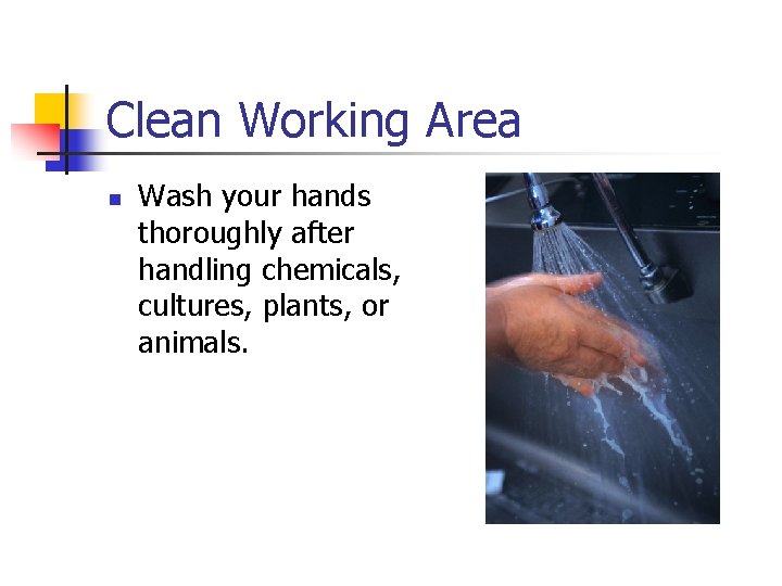 Clean Working Area n Wash your hands thoroughly after handling chemicals, cultures, plants, or