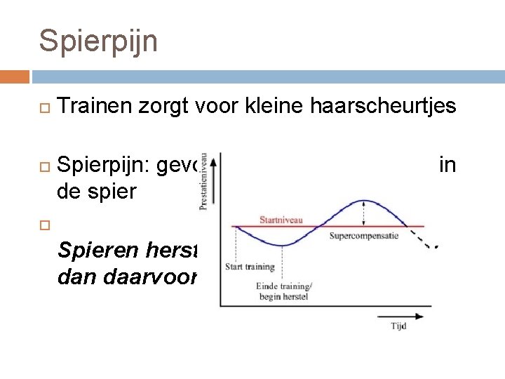 Spierpijn Trainen zorgt voor kleine haarscheurtjes Spierpijn: gevolg van veel afvalstoffen in de spier