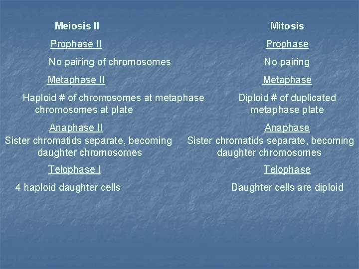 Meiosis II Mitosis Prophase II Prophase No pairing of chromosomes No pairing Metaphase II