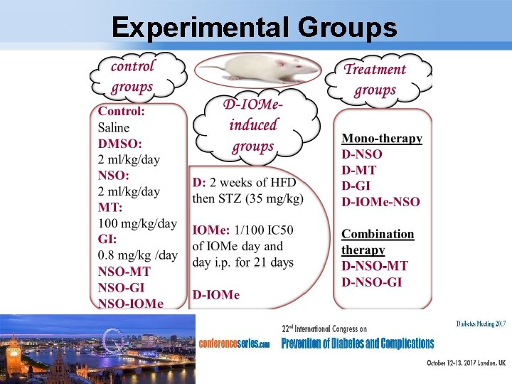 Experimental Groups Page 12 