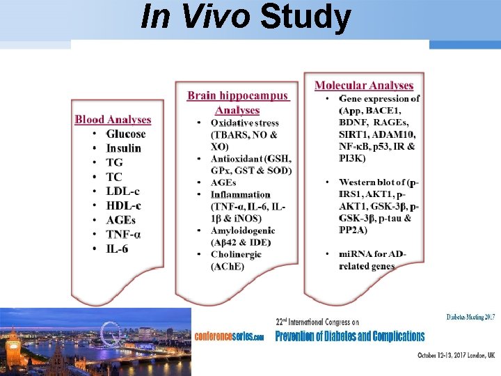 In Vivo Study Page 13 