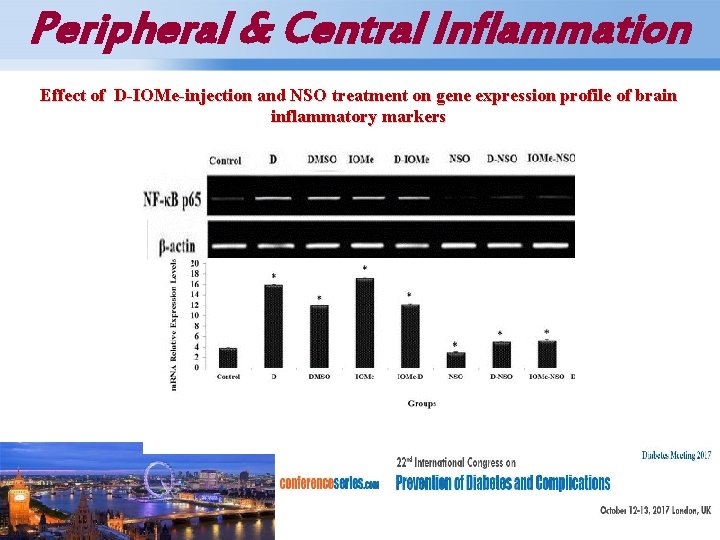 Peripheral & Central Inflammation Effect of D-IOMe-injection and NSO treatment on gene expression profile