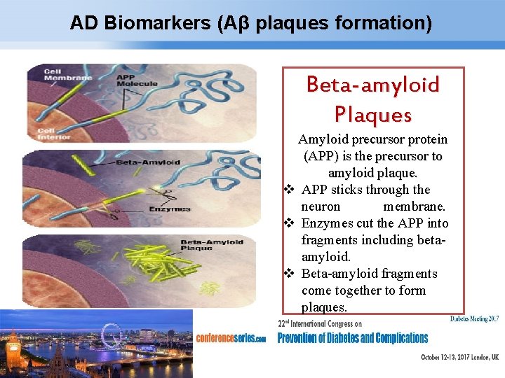 AD Biomarkers (Aβ plaques formation) Beta-amyloid Plaques Amyloid precursor protein (APP) is the precursor