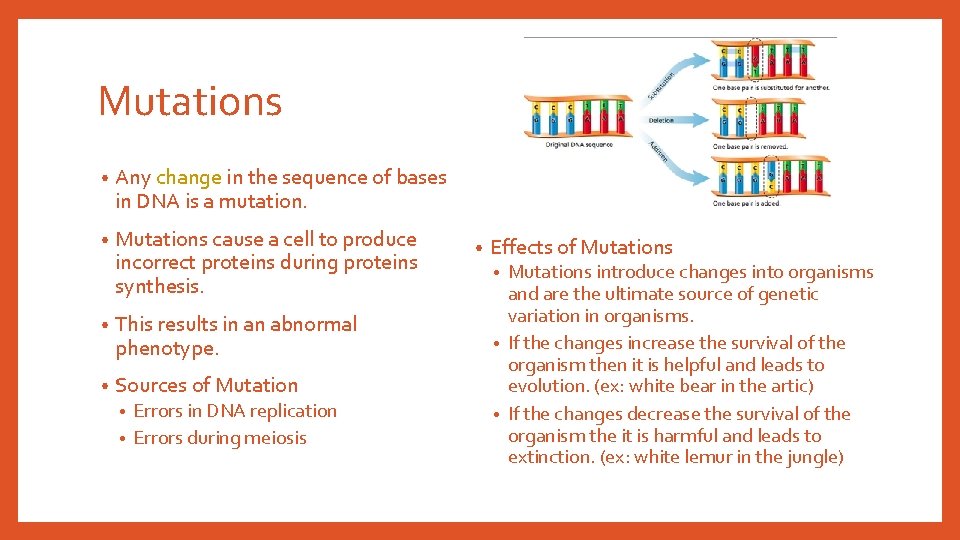 Mutations • Any change in the sequence of bases in DNA is a mutation. Mutations • Any change in the sequence of bases in DNA is a mutation.