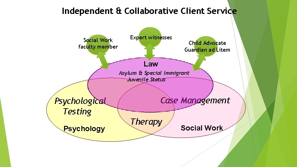 Independent & Collaborative Client Service Social Work faculty member Expert witnesses Child Advocate Guardian