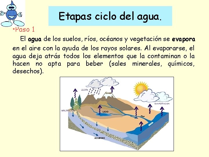 Etapas ciclo del agua. • Paso 1 El agua de los suelos, ríos, océanos
