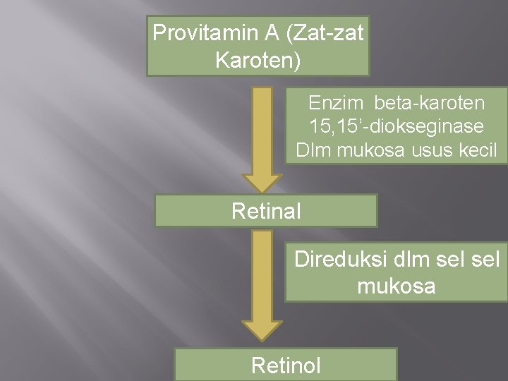 Provitamin A (Zat-zat Karoten) Enzim beta-karoten 15, 15’-diokseginase Dlm mukosa usus kecil Retinal Direduksi