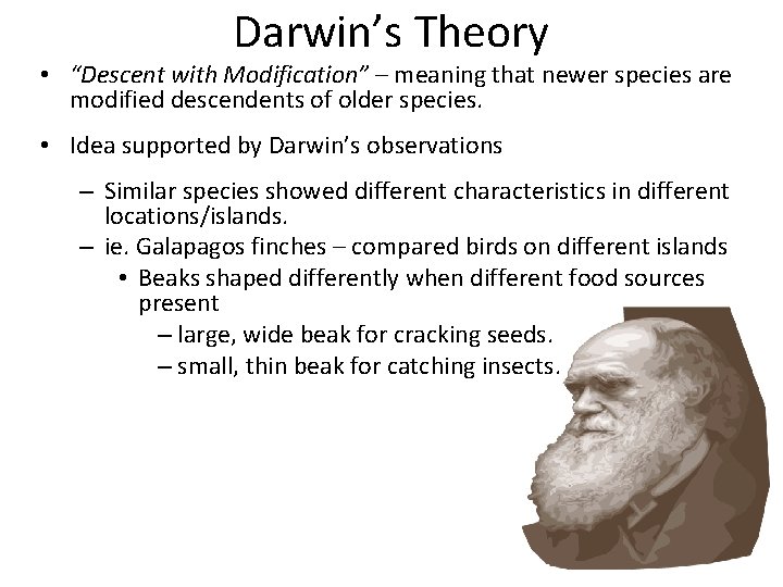 Darwin’s Theory • “Descent with Modification” – meaning that newer species are modified descendents